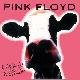 Pink Floyd Pinkie Milkie